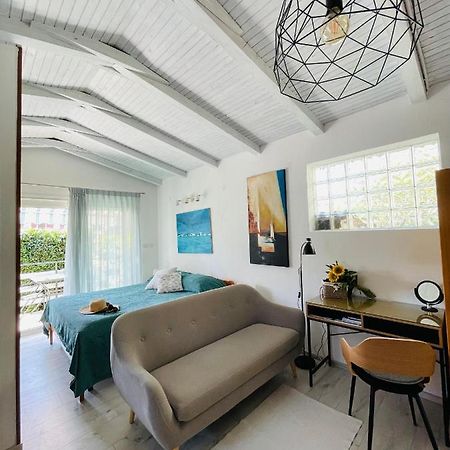 Pasiflora Studio Novigrad Istria Εξωτερικό φωτογραφία