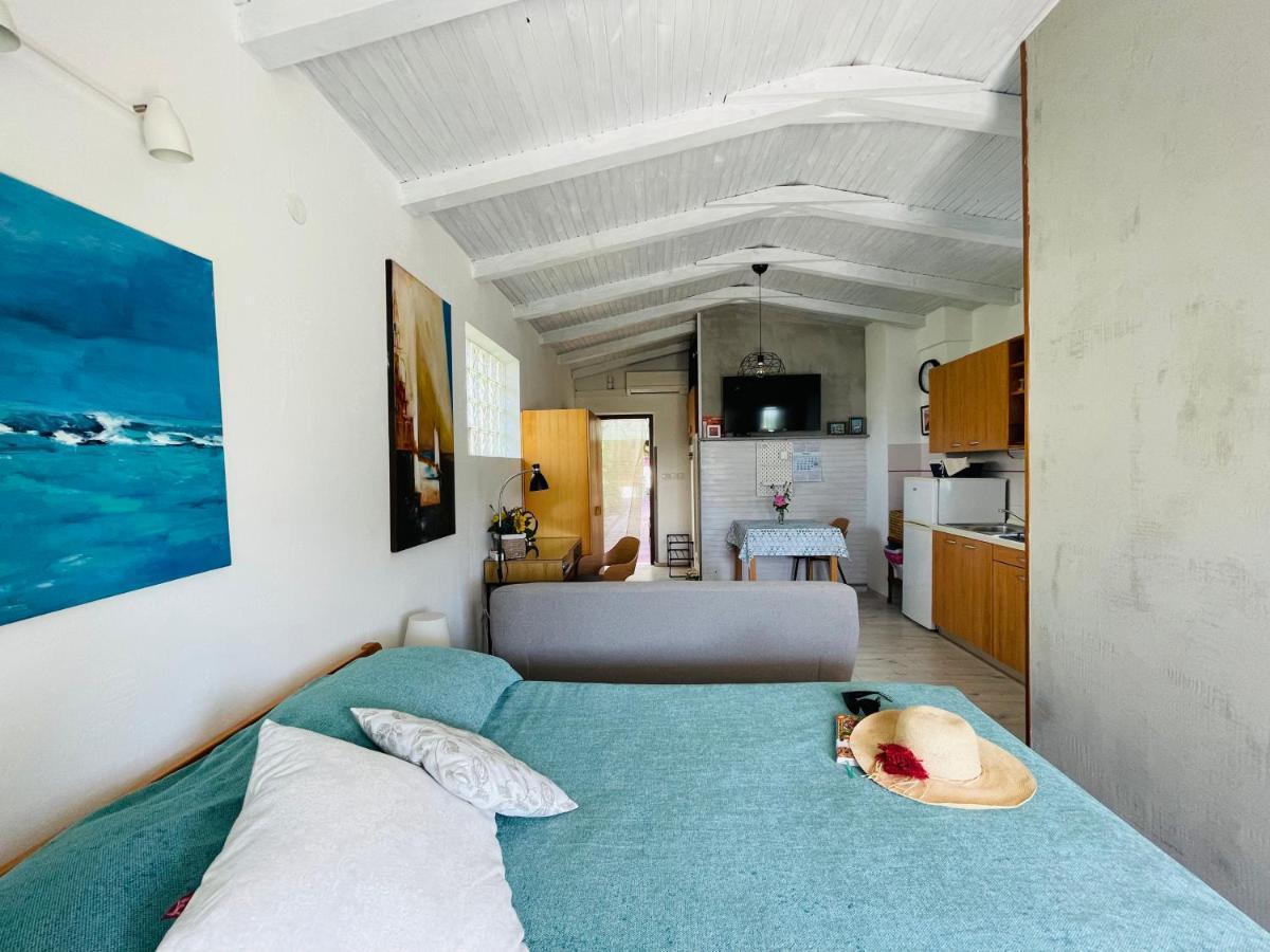 Pasiflora Studio Novigrad Istria Εξωτερικό φωτογραφία