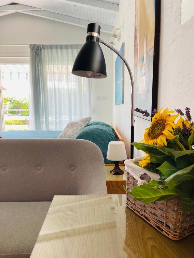 Pasiflora Studio Novigrad Istria Εξωτερικό φωτογραφία