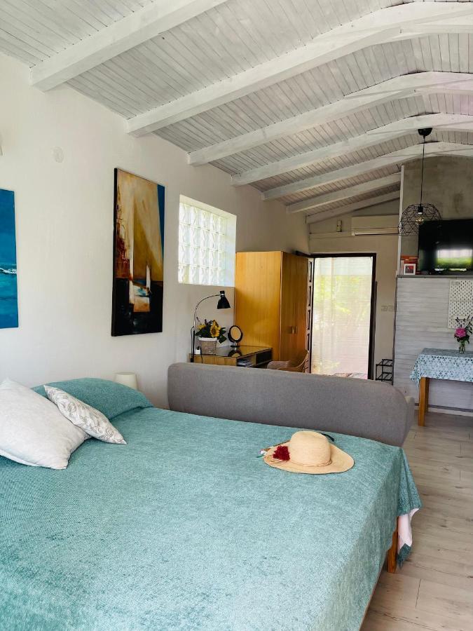 Pasiflora Studio Novigrad Istria Εξωτερικό φωτογραφία